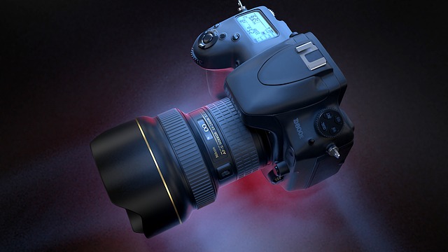 nikon-2979566_640